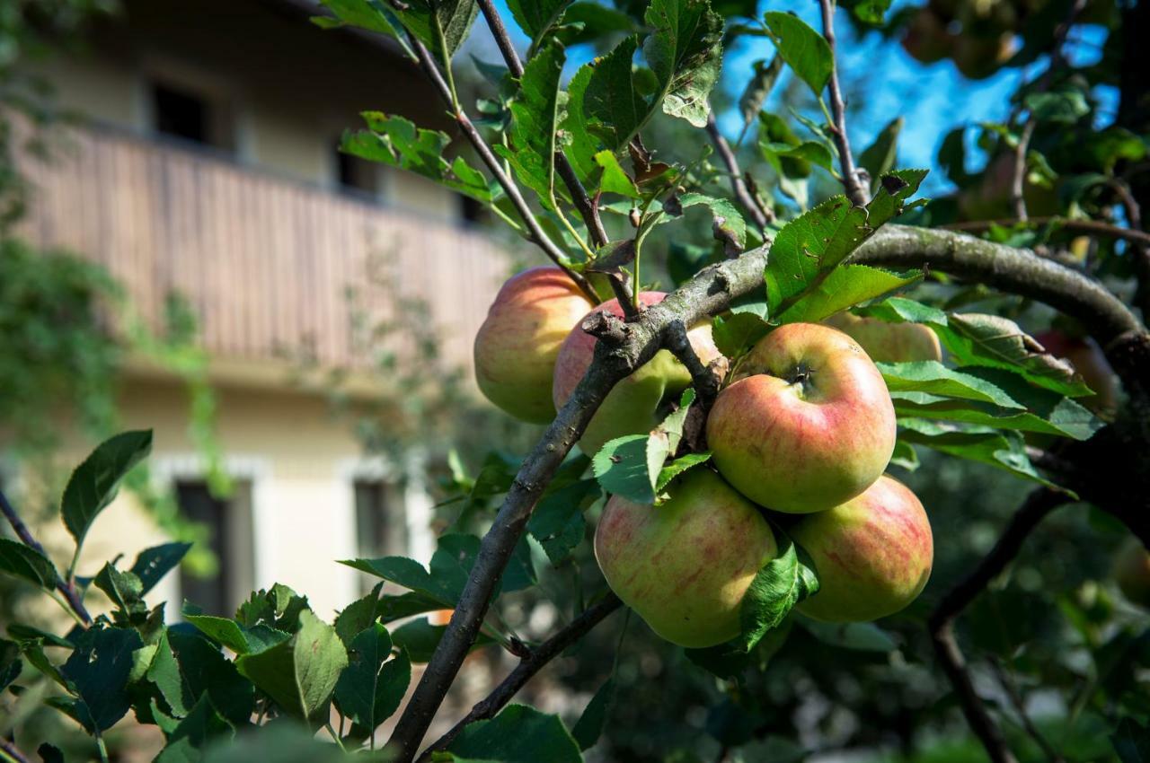 הוילה לאסצה Pr'Jernejc Agroturism מראה חיצוני תמונה